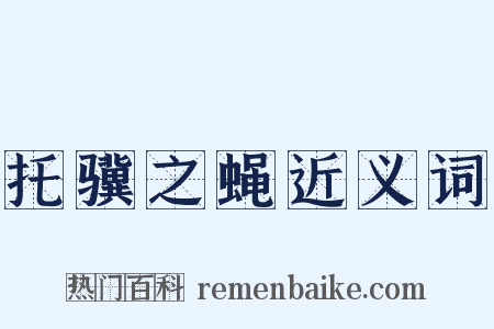 托骥之蝇近义词是什么意思的图片